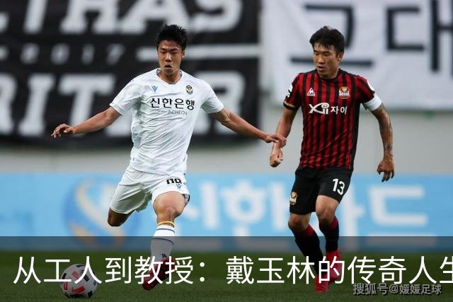 从工人到教授：戴玉林的传奇人生