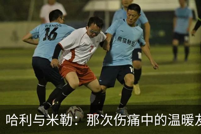 哈利与米勒：那次伤痛中的温暖友谊