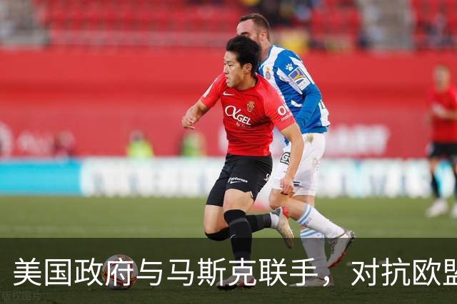 美国政府与马斯克联手，对抗欧盟罚单的“大冒险